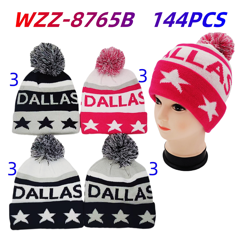 WZZ-8765B CS144